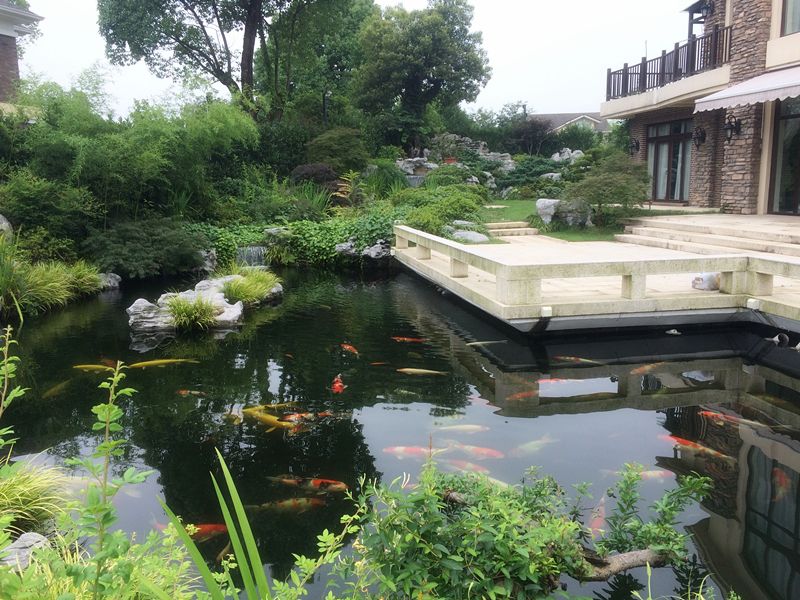 水池鱼塘花园景观案例